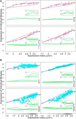 A Computational Atlas of Tissue-specific Regulatory Networks